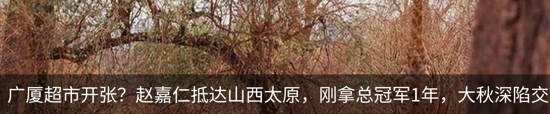资讯动态