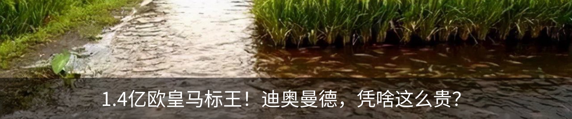 资讯动态